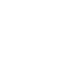 Big Ron's Records